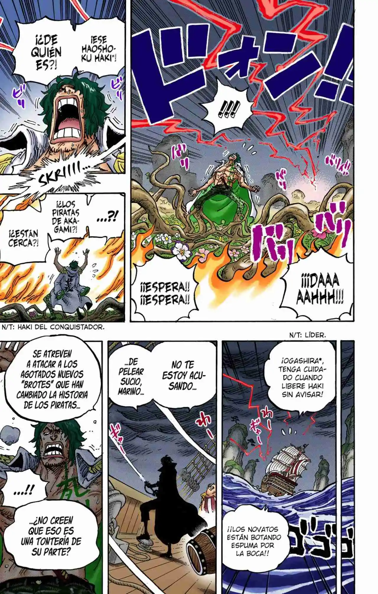 One Piece (full Color) - Capítulo 1055 - Página 14 - LectorTMOo