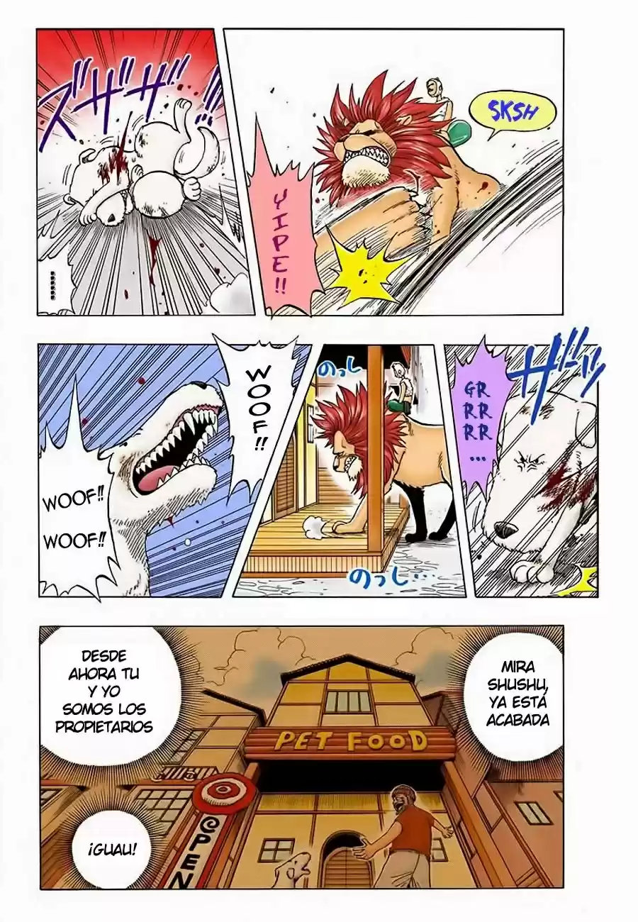 One Piece (full Color) - Capítulo 13 - Página 5 - LectorTMOo