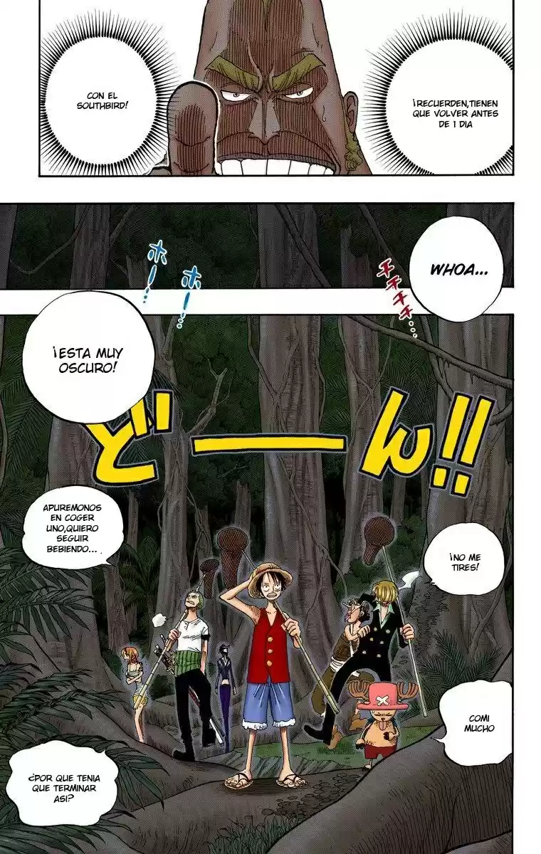 One Piece (full Color) - Capítulo 230 - Página 10 - LectorTMOo