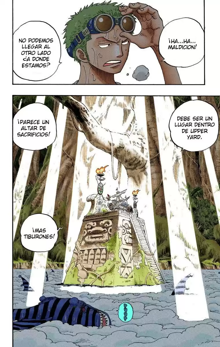 One Piece (full Color) - Capítulo 245 - Página 13 - LectorTMOo