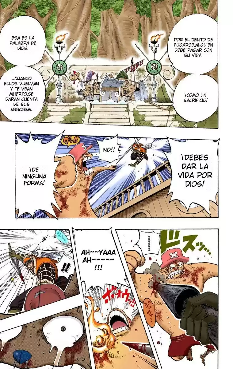 One Piece (full Color) - Capítulo 248 - Página 16 - LectorTMOo