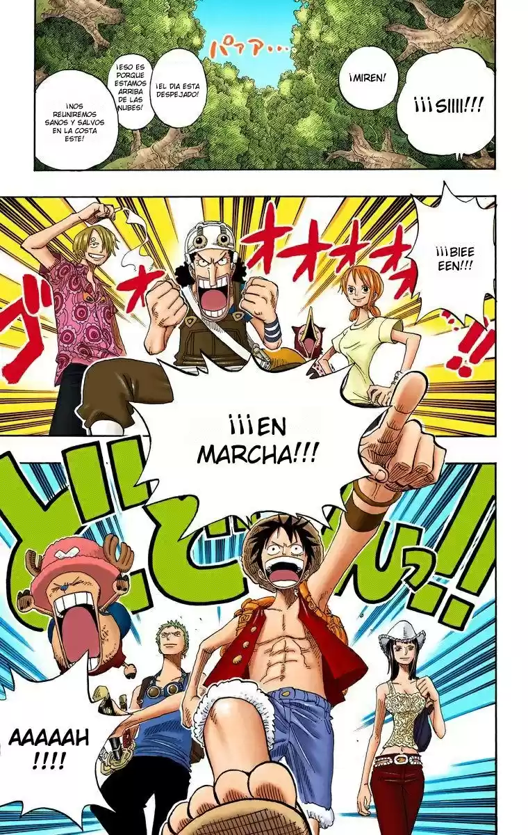 One Piece (full Color) - Capítulo 254 - Página 17 - LectorTMOo