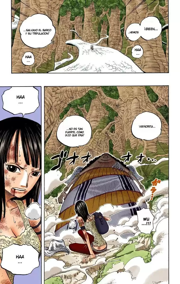 One Piece (full Color) capítulo 263 página 20