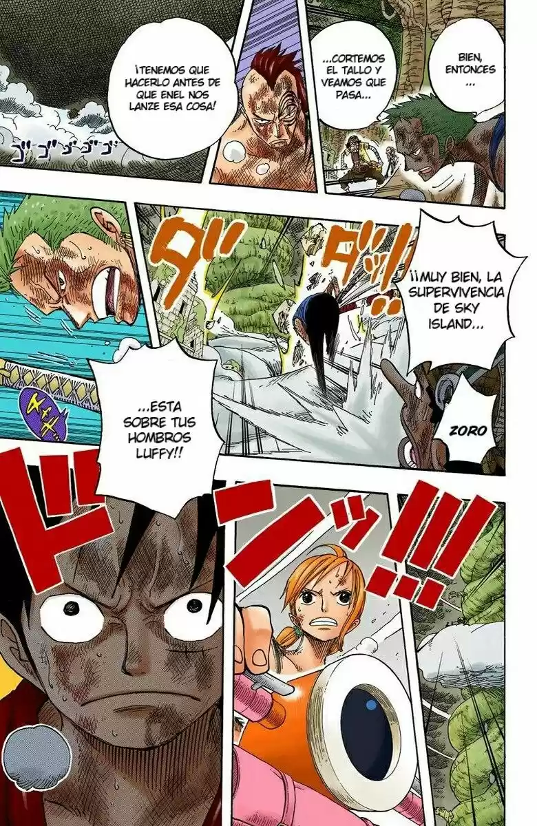 One Piece (full Color) - Capítulo 295 - Página 17 - LectorTMOo