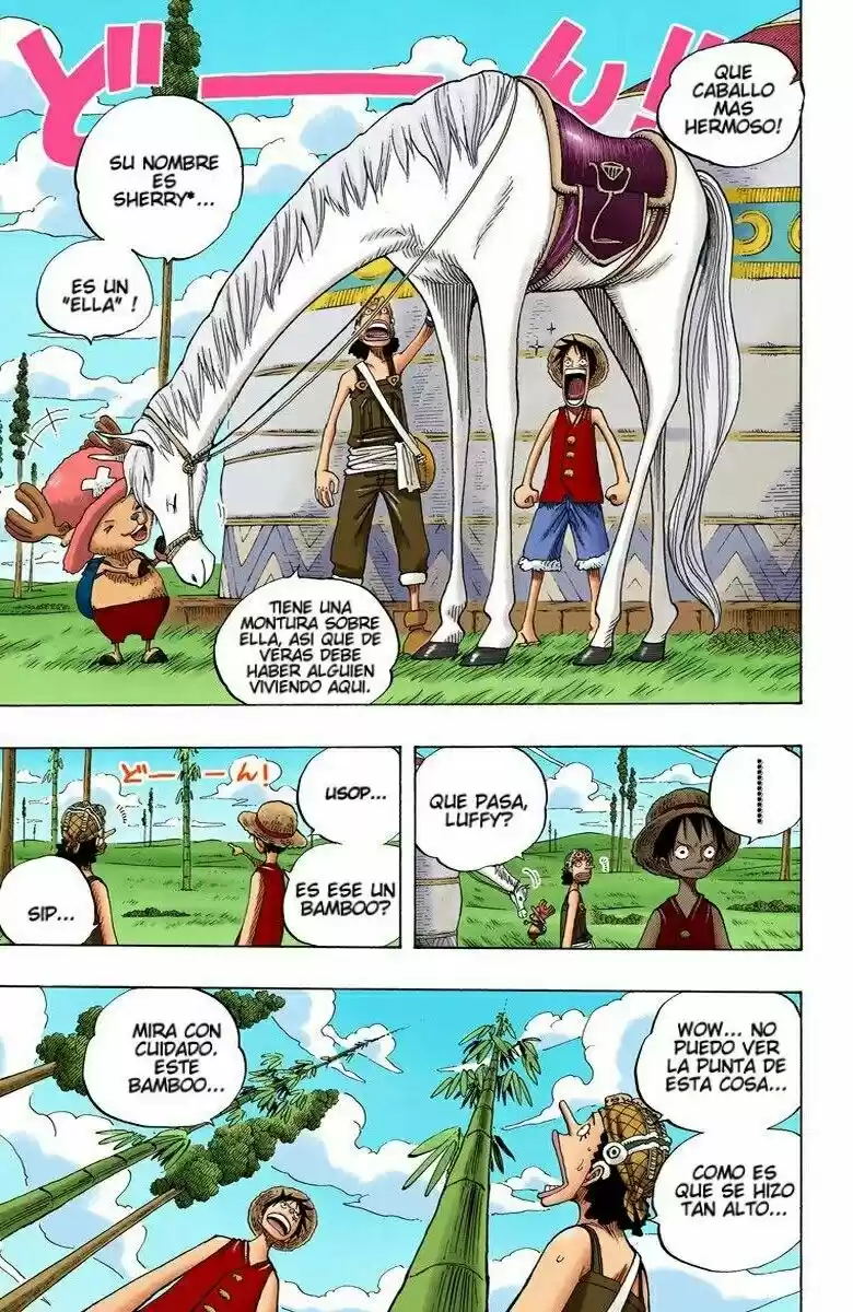 One Piece (full Color) - Capítulo 304 - Página 15 - LectorTMOo