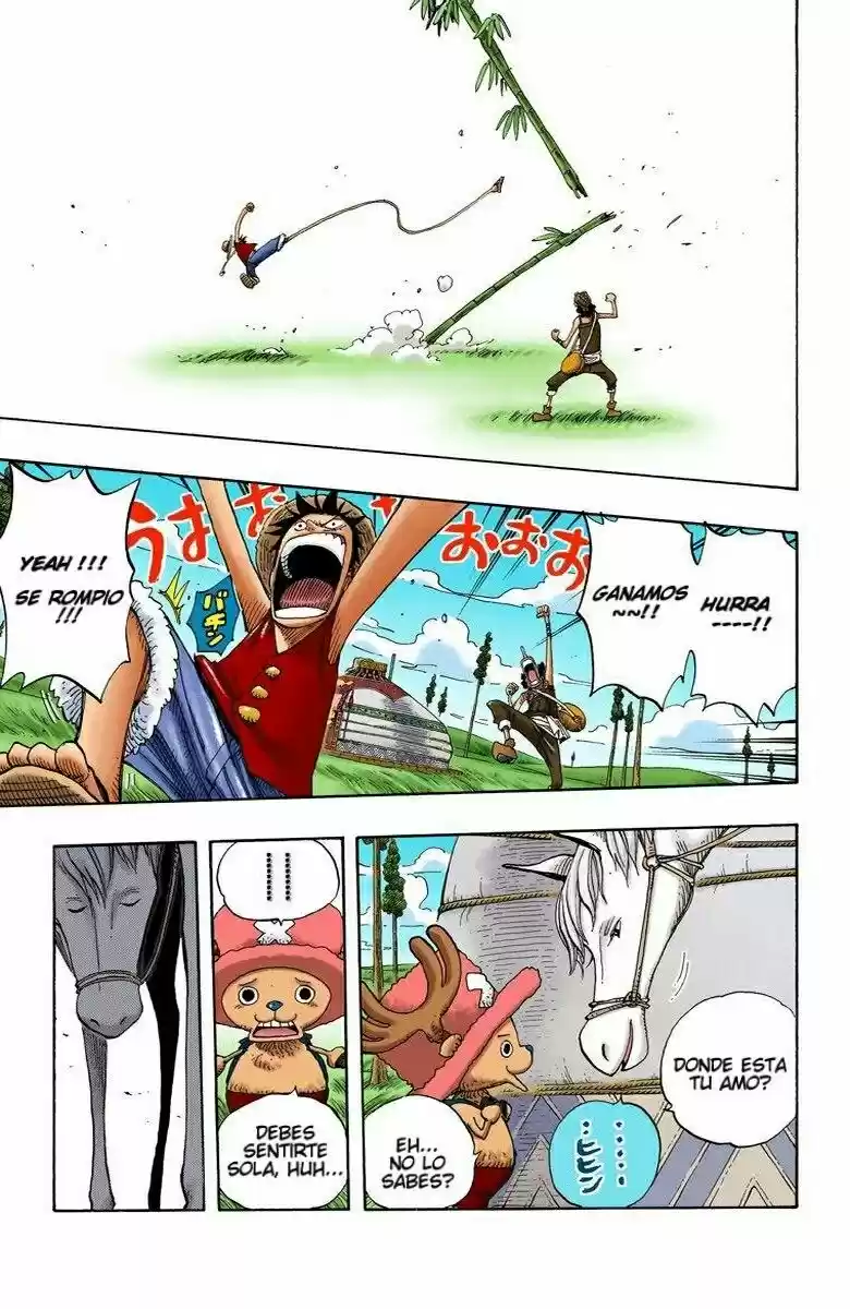 One Piece (full Color) - Capítulo 304 - Página 17 - LectorTMOo