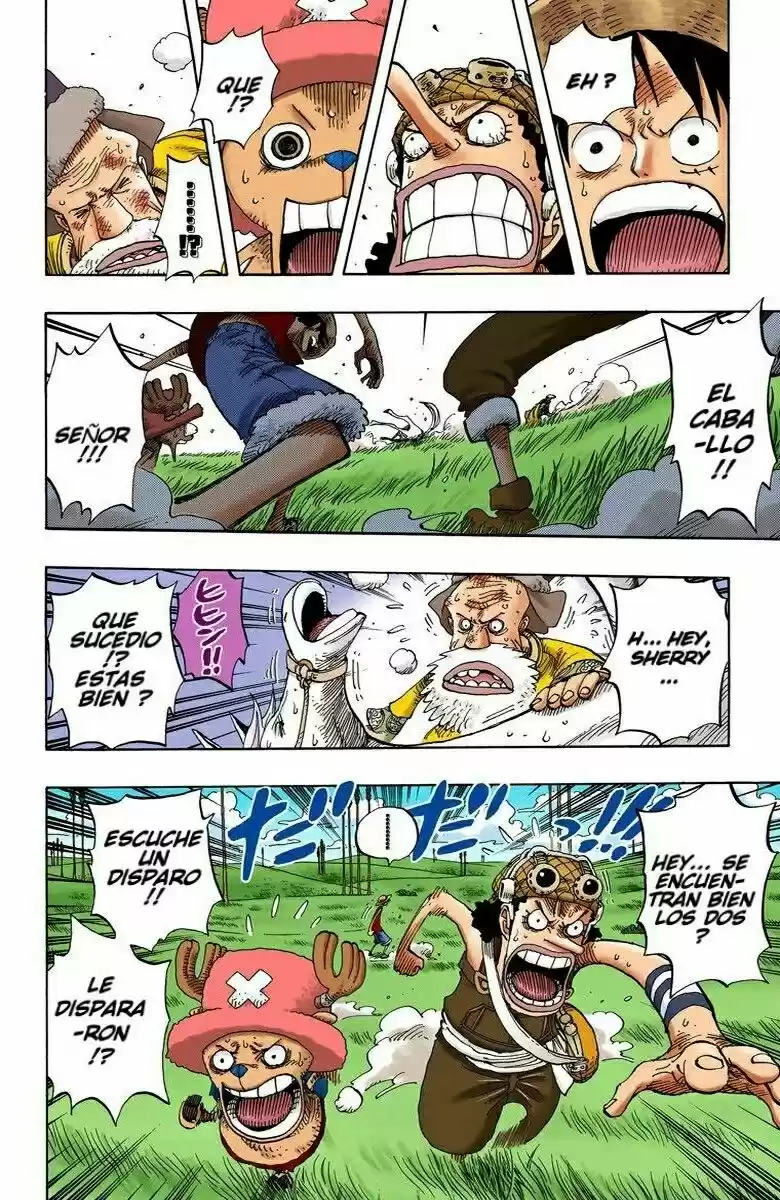 One Piece (full Color) - Capítulo 305 - Página 14 - LectorTMOo