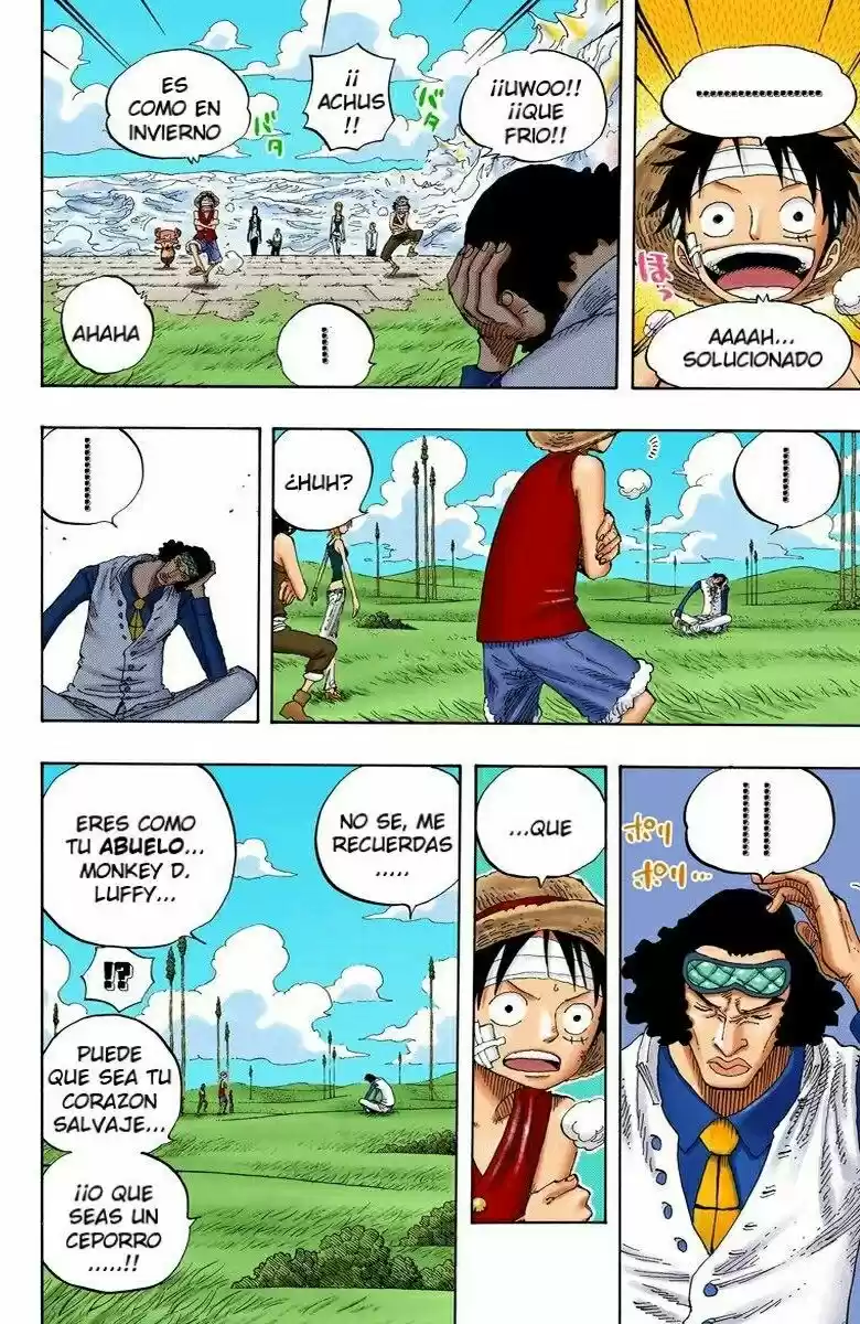 One Piece (full Color) - Capítulo 319 - Página 17 - LectorTMOo