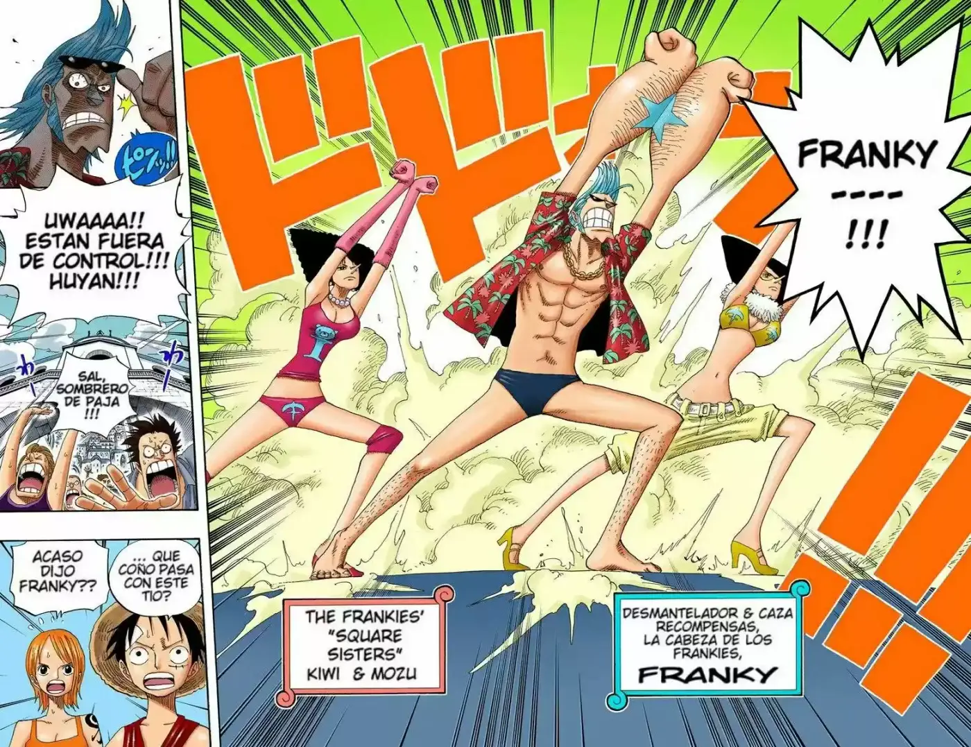 One Piece (full Color) - Capítulo 335 - Página 14 - LectorTMOo