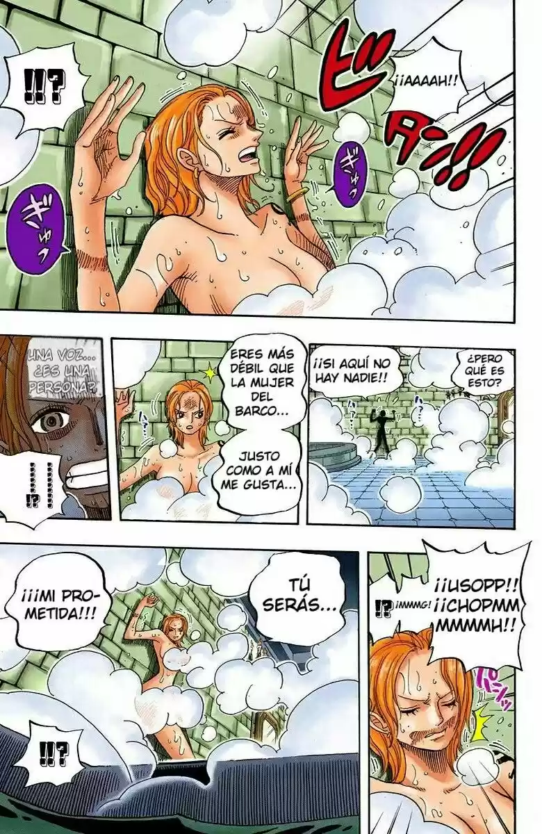 One Piece (full Color) - Capítulo 446 - Página 14 - LectorTMOo