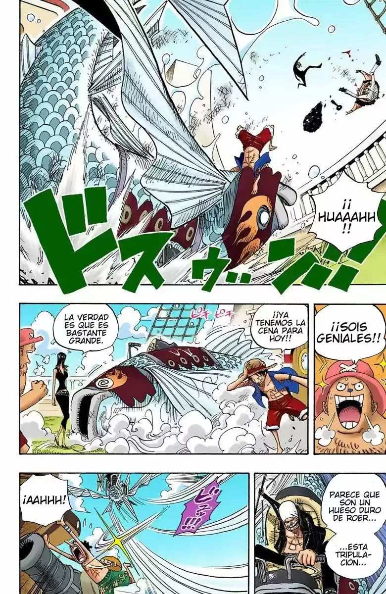 One Piece (full Color) - Capítulo 493 - Página 14 - LectorTMOo