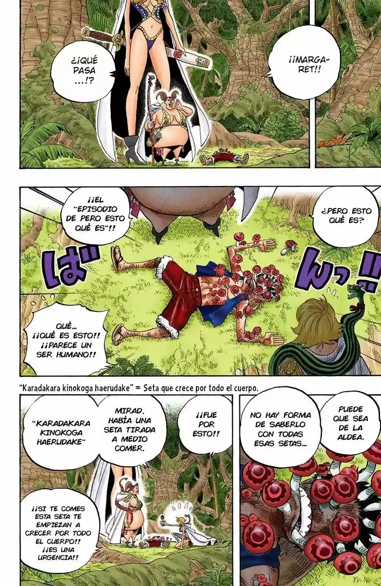 One Piece (full Color) - Capítulo 514 - Página 13 - LectorTMOo