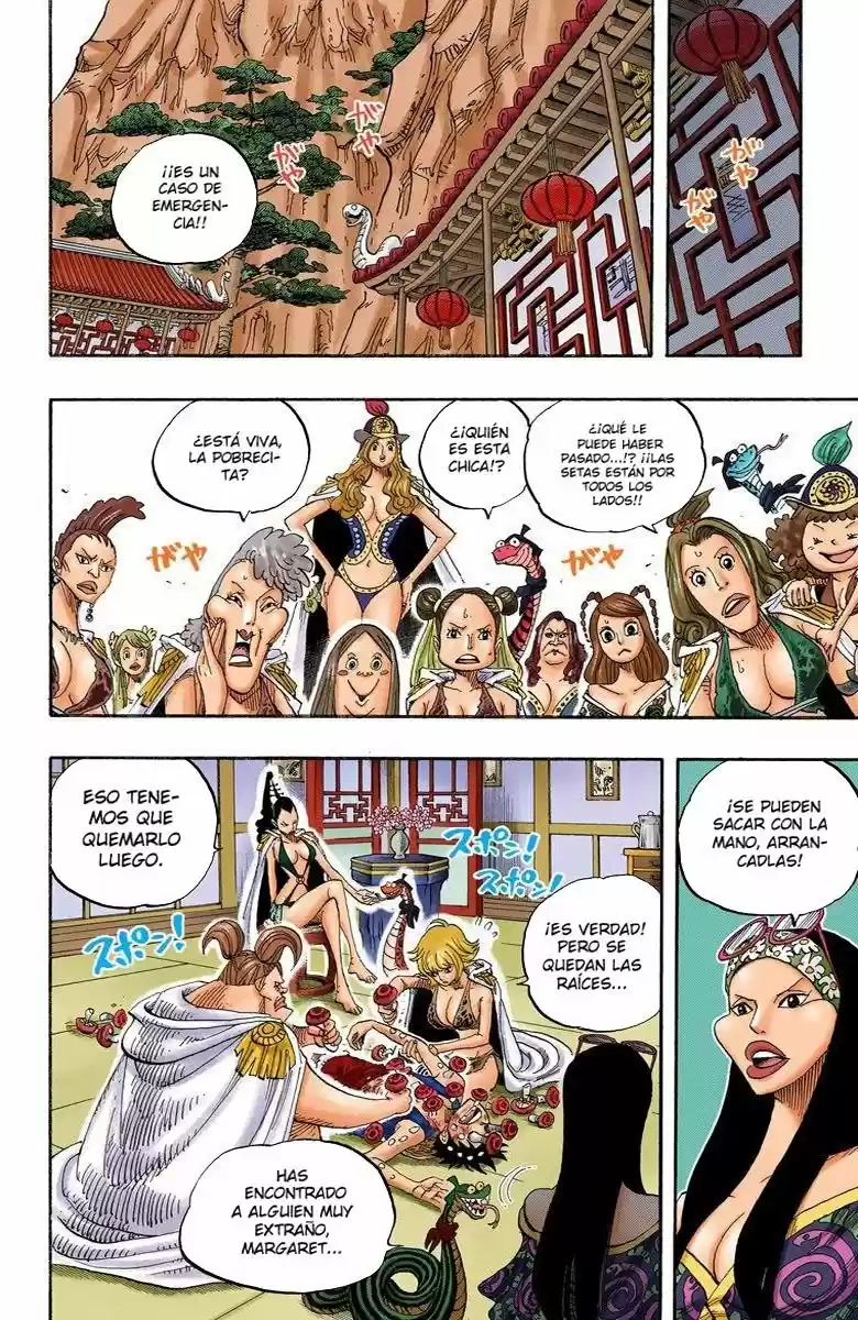 One Piece (full Color) - Capítulo 514 - Página 15 - LectorTMOo