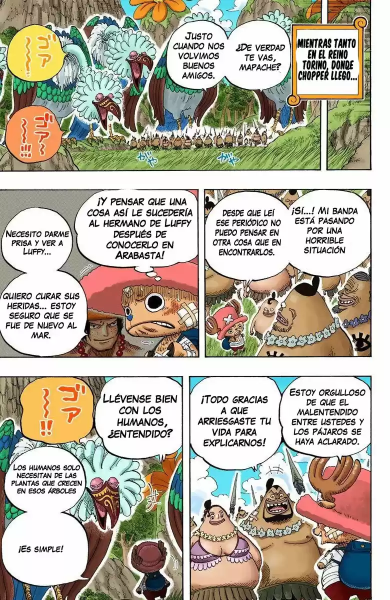 One Piece (full Color) - Capítulo 591 - Página 17 - LectorTMOo