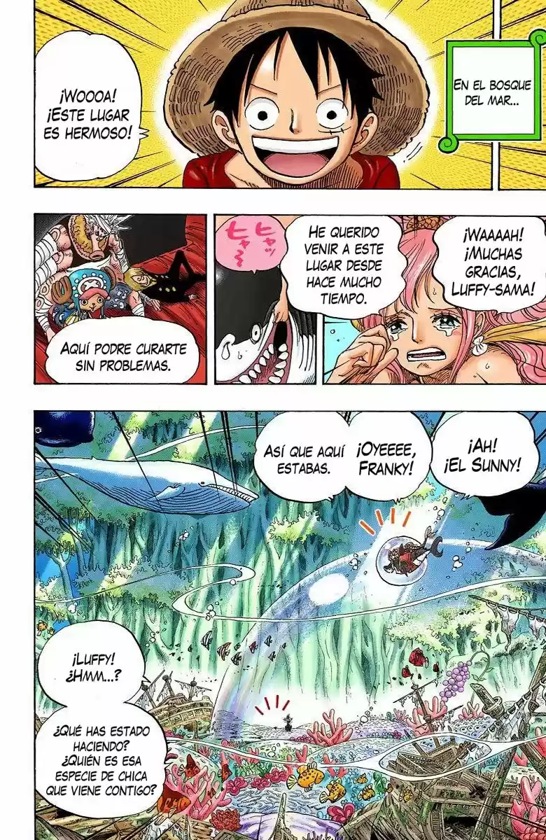 One Piece (full Color) - Capítulo 619 - Página 8 - LectorTMOo