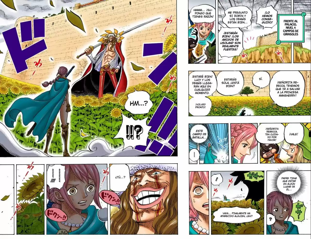 One Piece (full Color) - Capítulo 756 - Página 17 - LectorTMOo