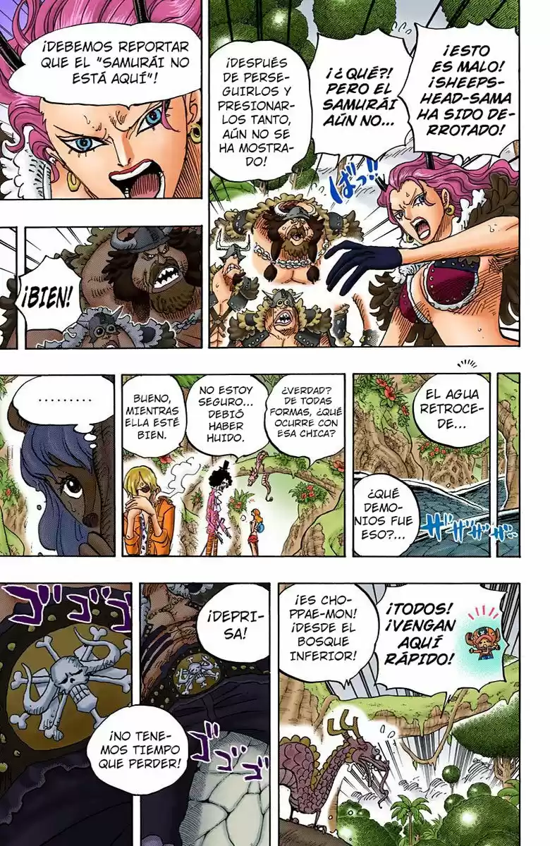 One Piece (full Color) - Capítulo 795 - Página 9 - LectorTMOo