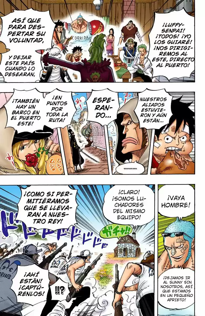 One Piece (full Color) - Capítulo 796 - Página 17 - LectorTMOo