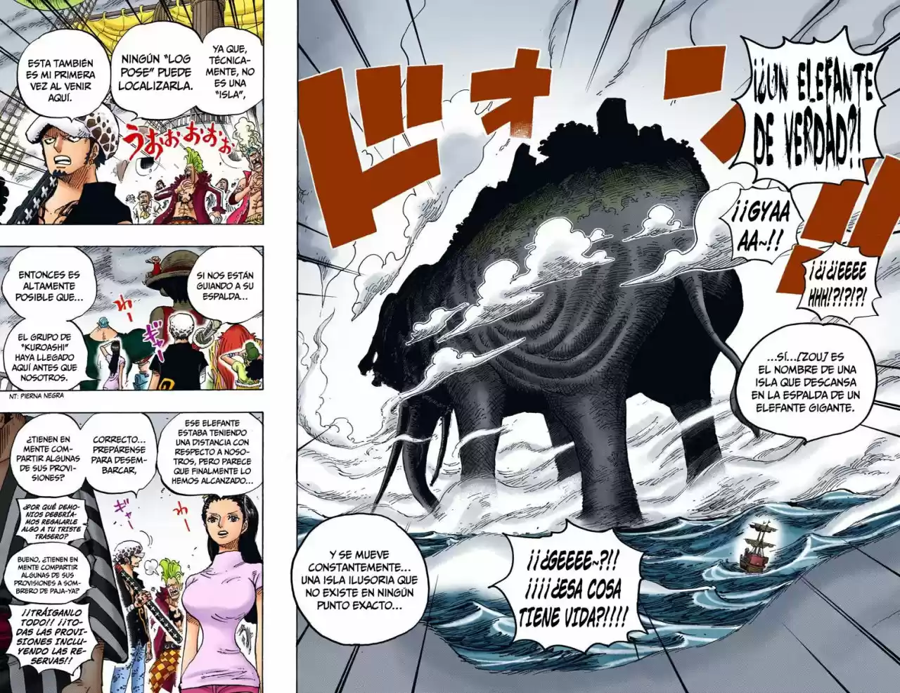 One Piece (full Color) - Capítulo 802 - Página 13 - LectorTMOo