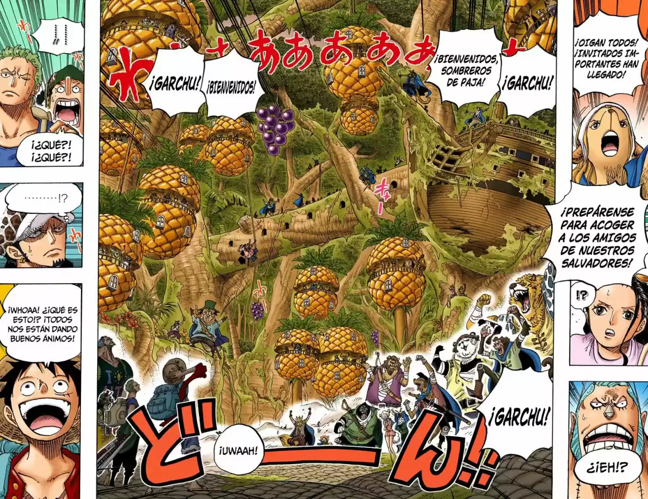 One Piece (full Color) capítulo 806 página 14