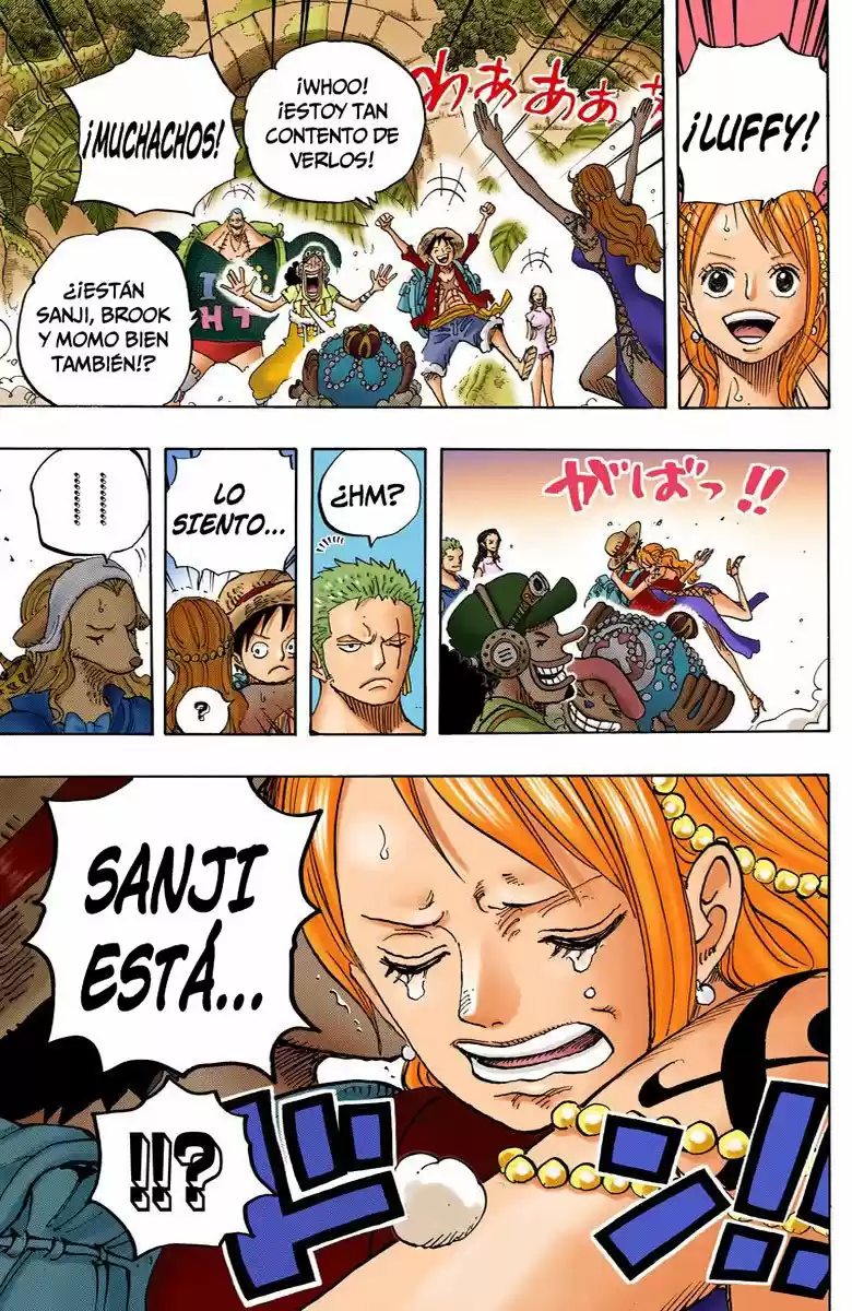 One Piece (full Color) capítulo 806 página 16