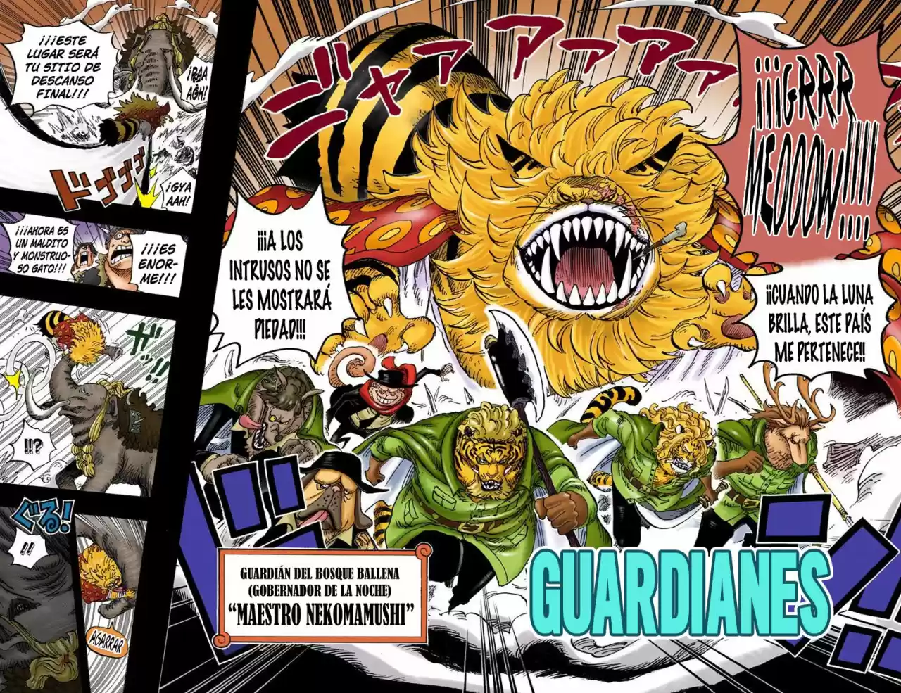 One Piece (full Color) - Capítulo 809 - Página 14 - LectorTMOo