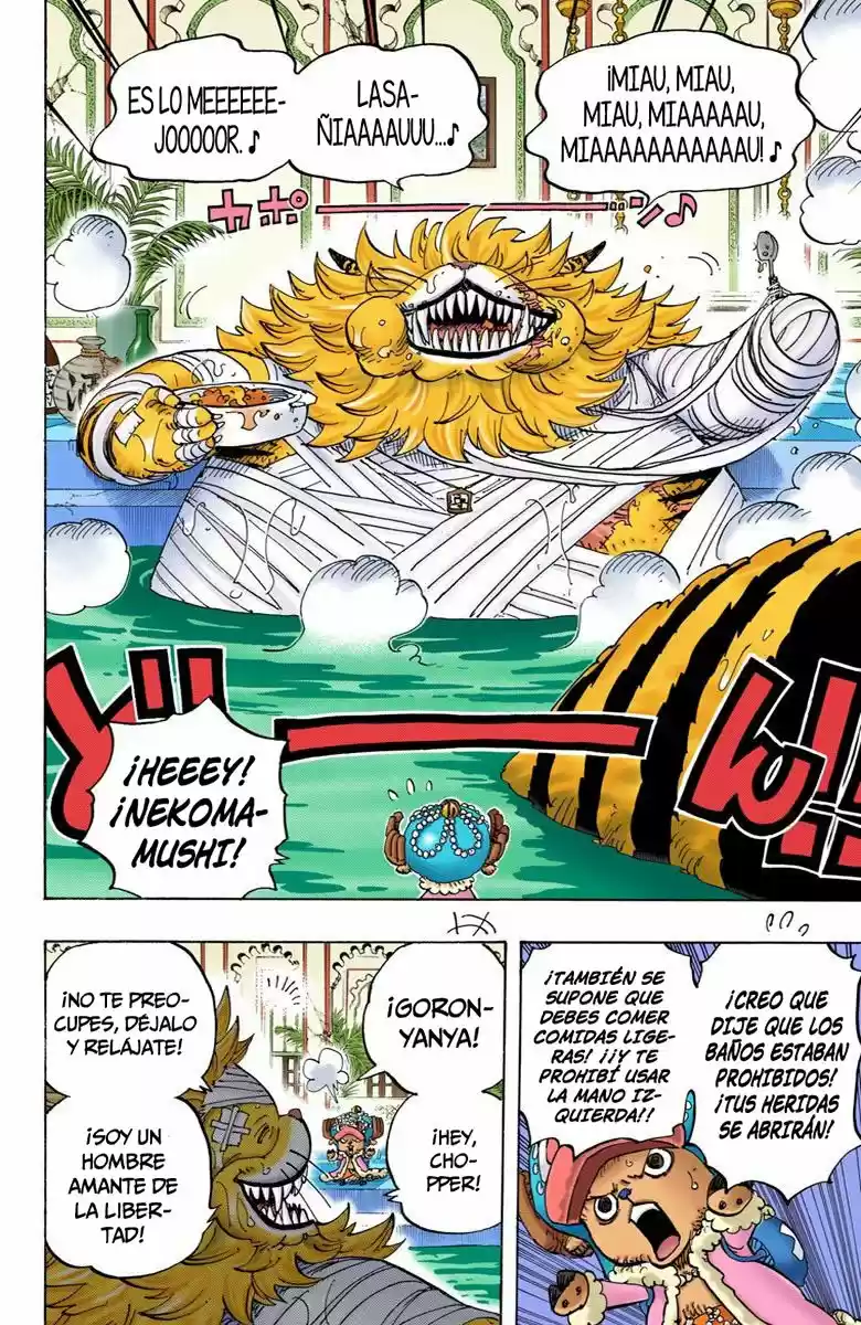 One Piece (full Color) - Capítulo 814 - Página 13 - LectorTMOo