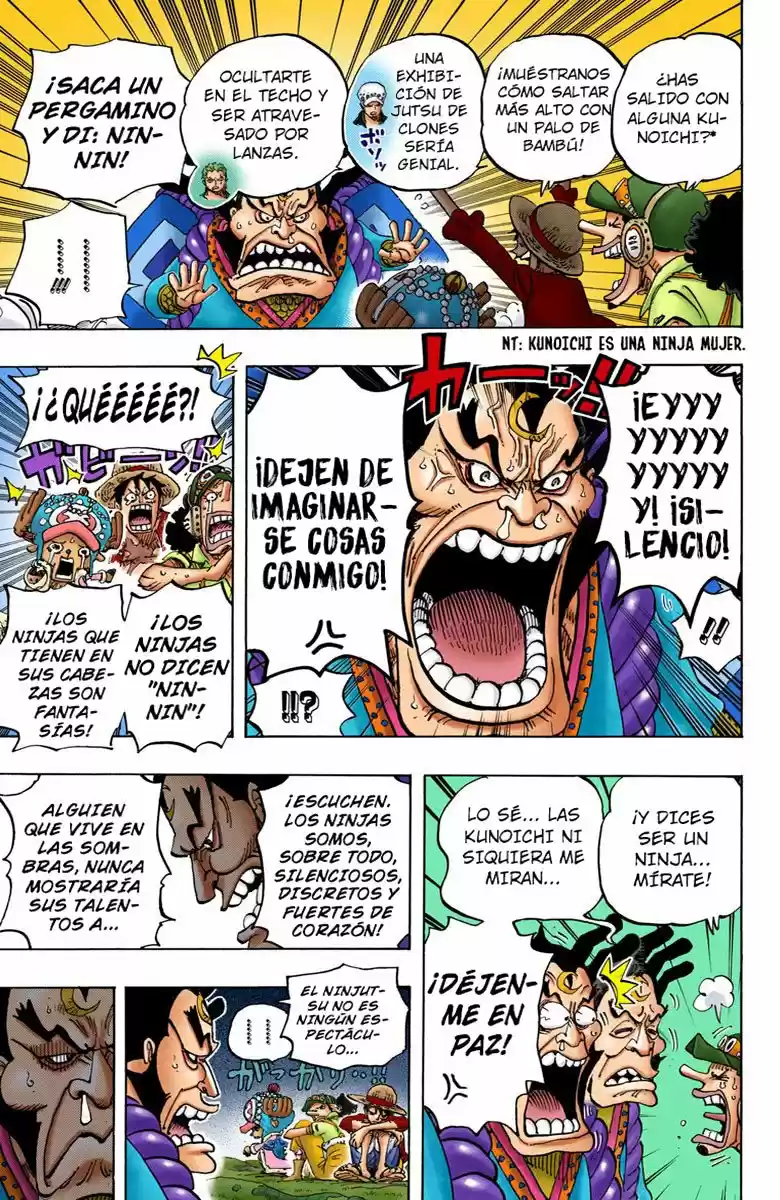 One Piece (full Color) - Capítulo 817 - Página 17 - LectorTMOo