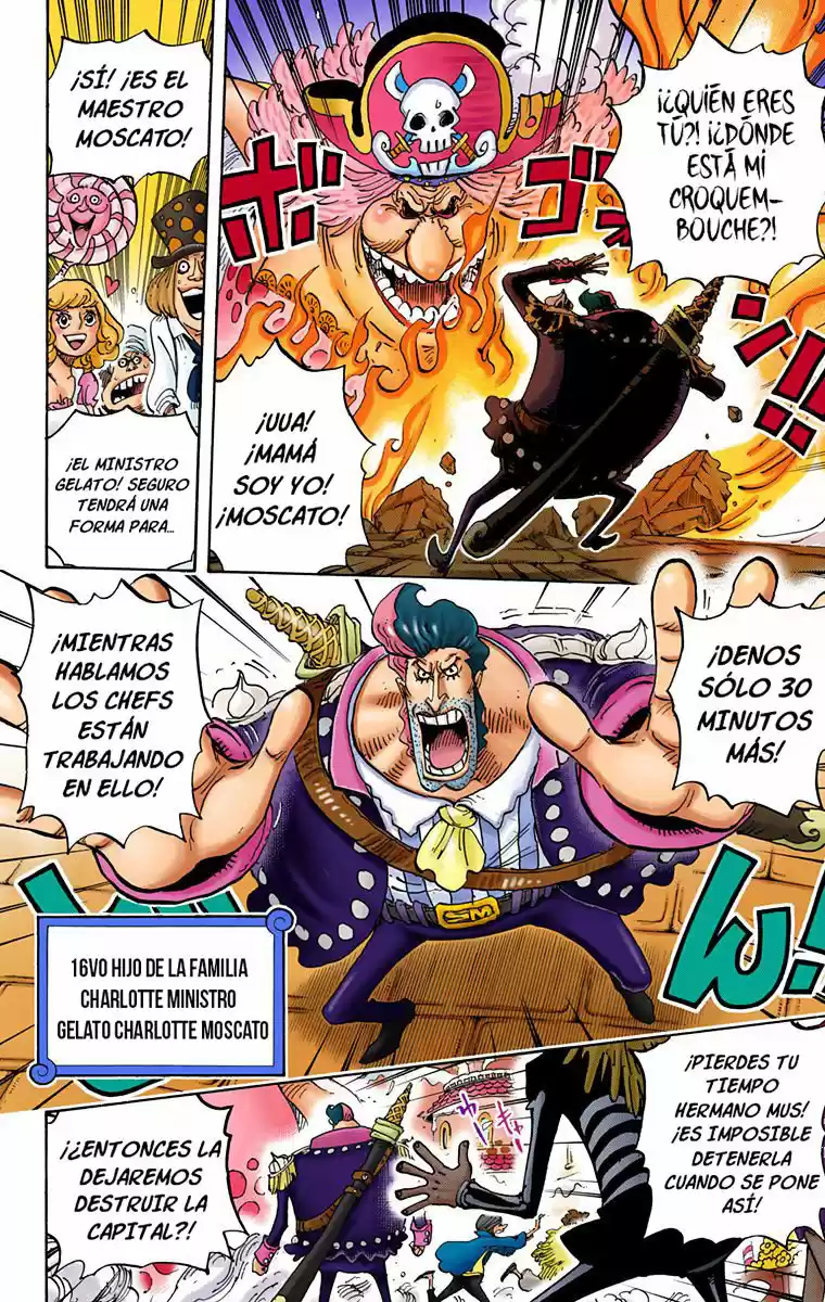 One Piece (full Color) capítulo 829 página 9