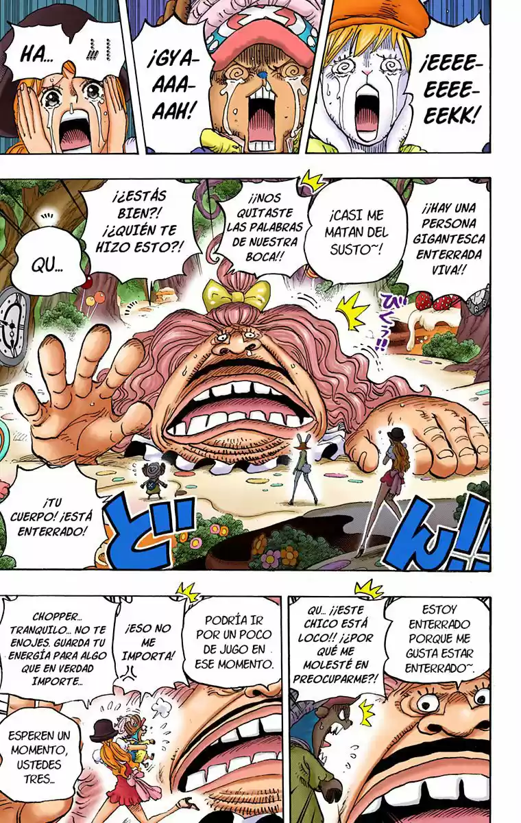 One Piece (full Color) - Capítulo 831 - Página 15 - LectorTMOo