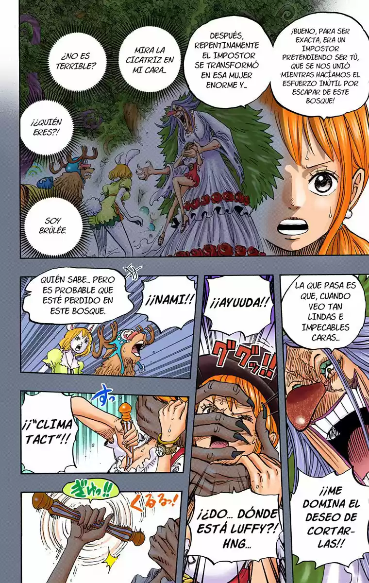 One Piece (full Color) - Capítulo 835 - Página 9 - LectorTMOo