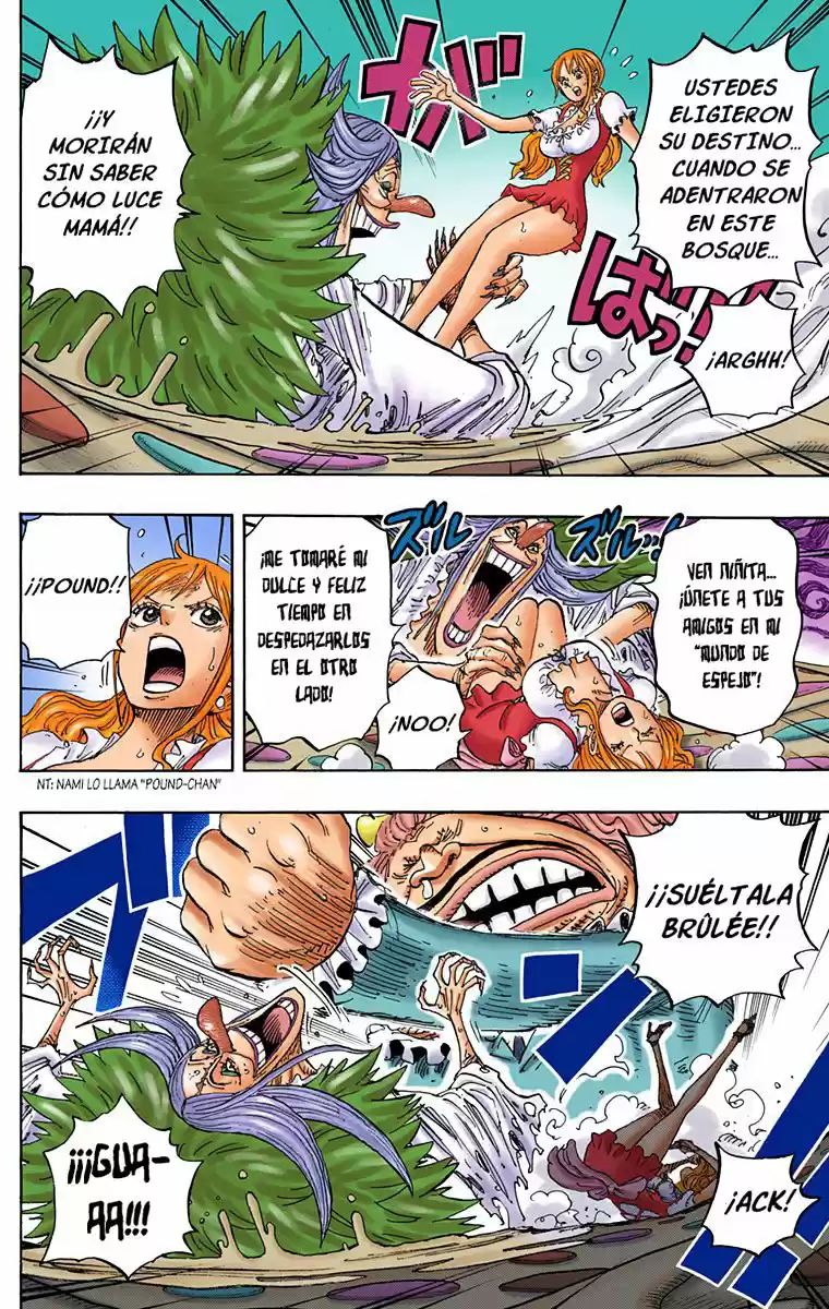 One Piece (full Color) - Capítulo 837 - Página 15 - LectorTMOo