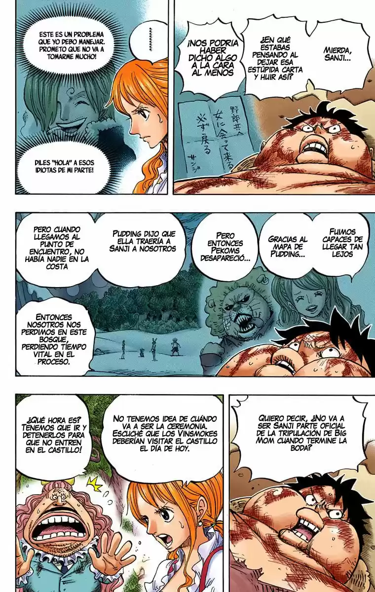 One Piece (full Color) - Capítulo 843 - Página 8 - LectorTMOo