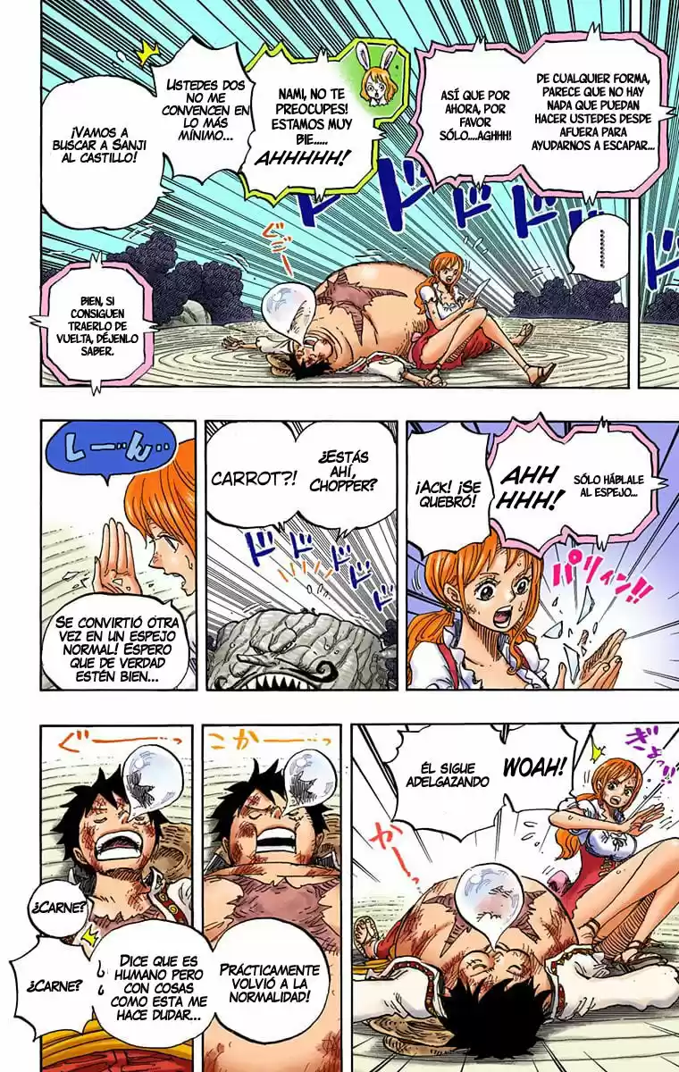 One Piece (full Color) - Capítulo 843 - Página 10 - LectorTMOo