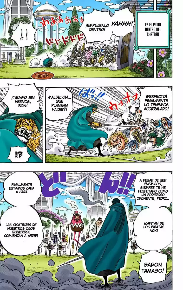 One Piece (full Color) - Capítulo 849 - Página 17 - LectorTMOo