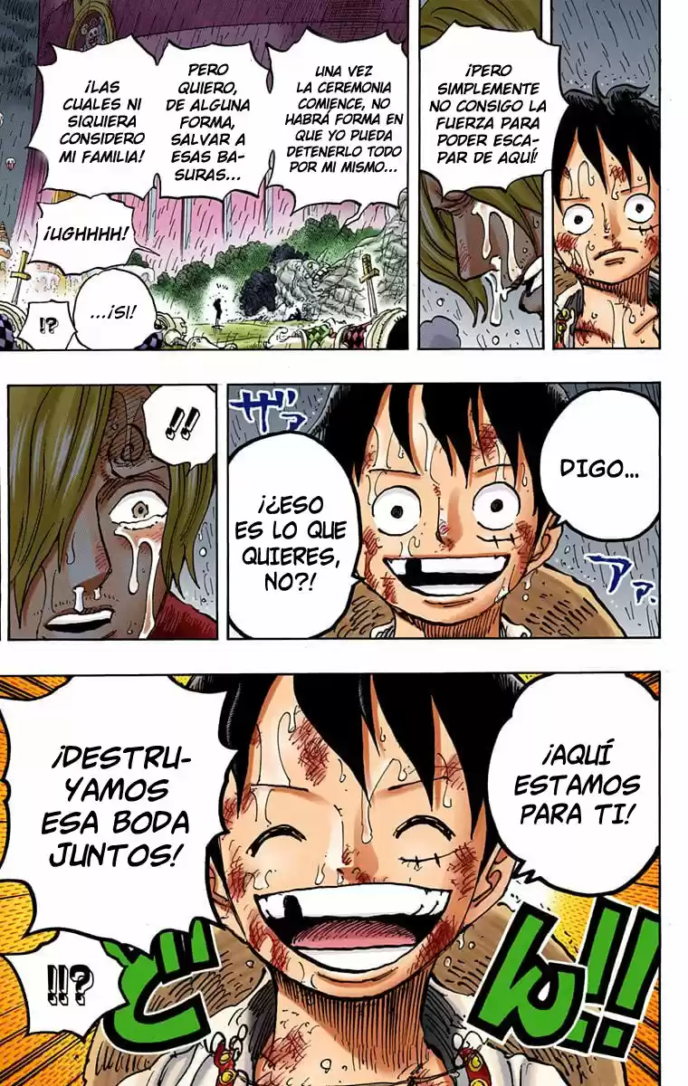 One Piece (full Color) - Capítulo 856 - Página 17 - LectorTMOo