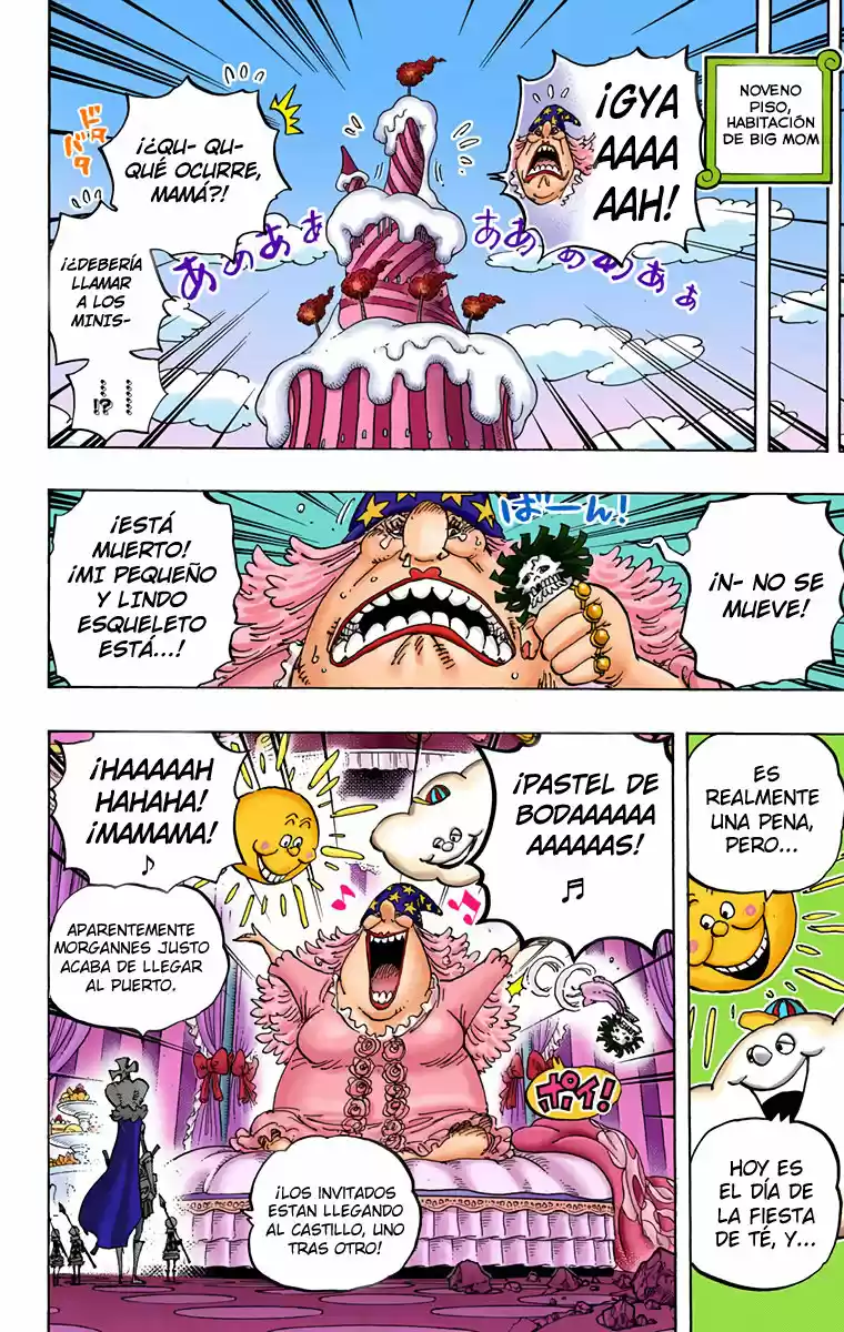 One Piece (full Color) - Capítulo 859 - Página 17 - LectorTMOo