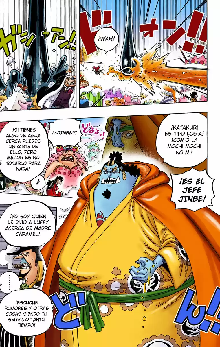 One Piece (full Color) - Capítulo 863 - Página 14 - LectorTMOo