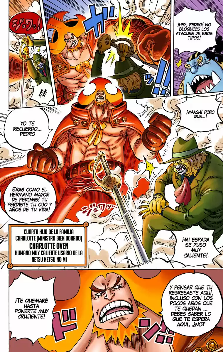 One Piece (full Color) - Capítulo 864 - Página 10 - LectorTMOo