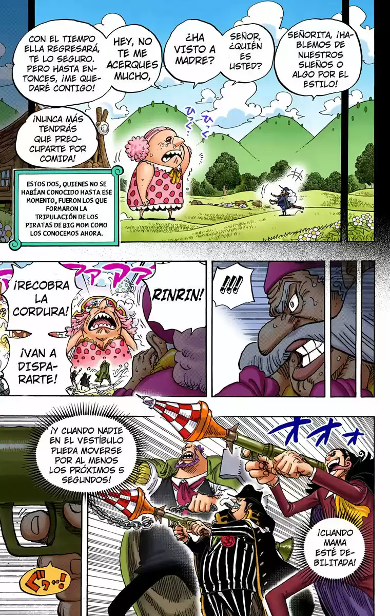 One Piece (full Color) - Capítulo 868 - Página 5 - LectorTMOo