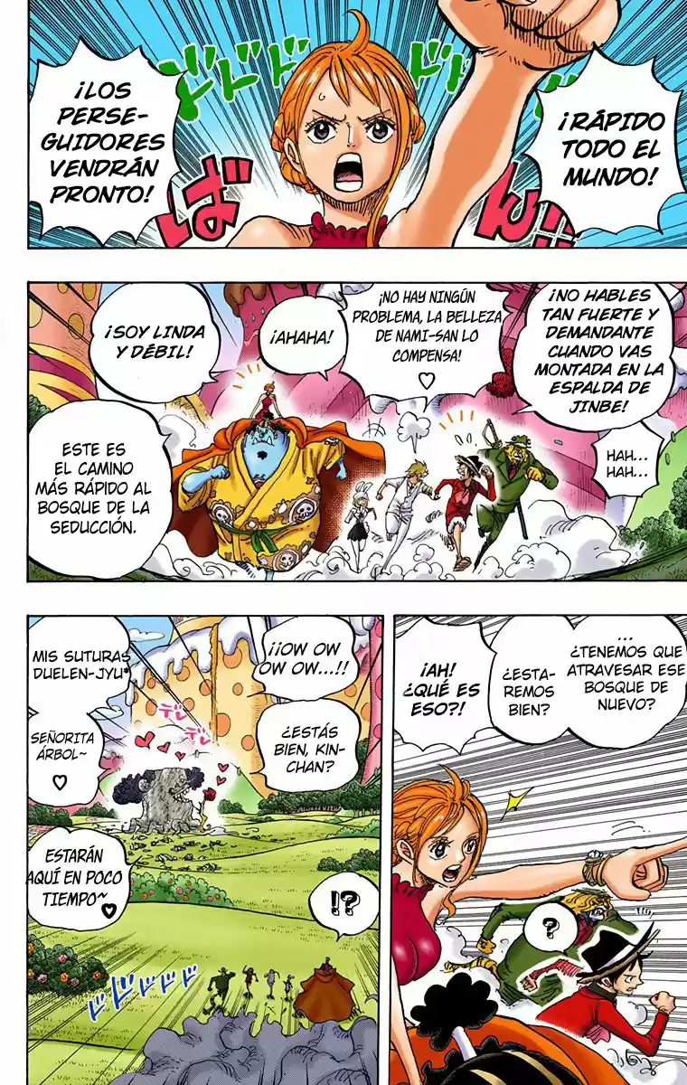 One Piece (full Color) - Capítulo 873 - Página 13 - LectorTMOo