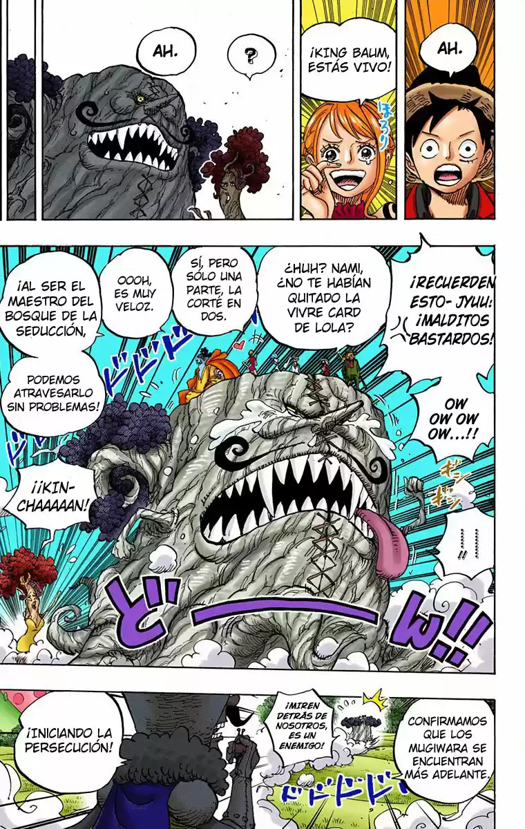 One Piece (full Color) - Capítulo 873 - Página 14 - LectorTMOo
