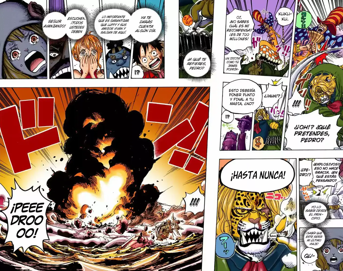 One Piece (full Color) - Capítulo 877 - Página 15 - LectorTMOo