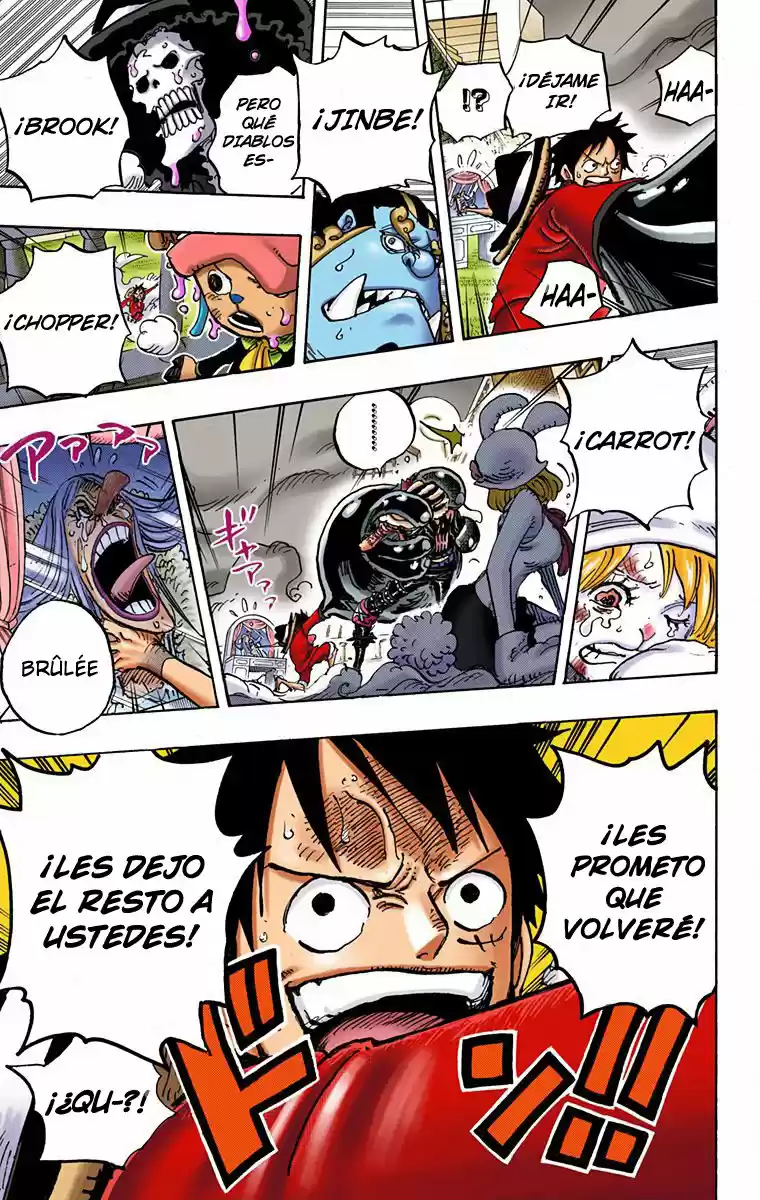 One Piece (full Color) - Capítulo 878 - Página 14 - LectorTMOo