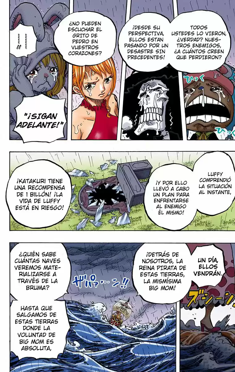 One Piece (full Color) capítulo 879 página 4
