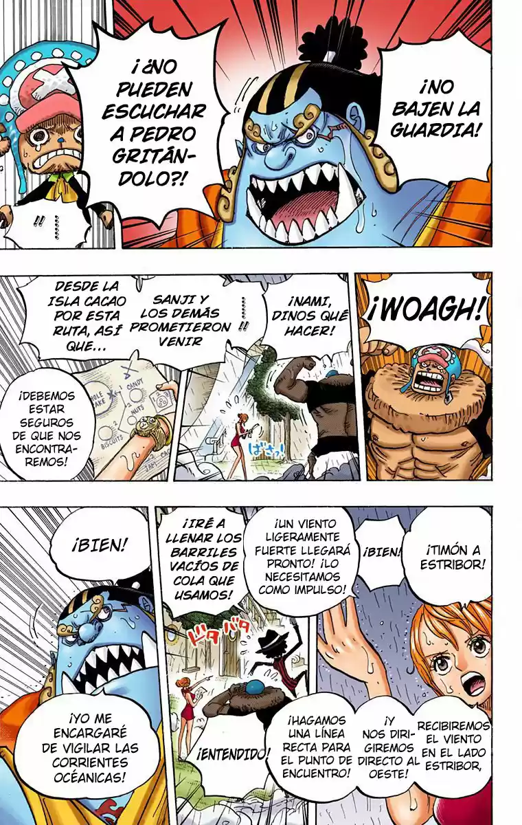 One Piece (full Color) capítulo 879 página 5