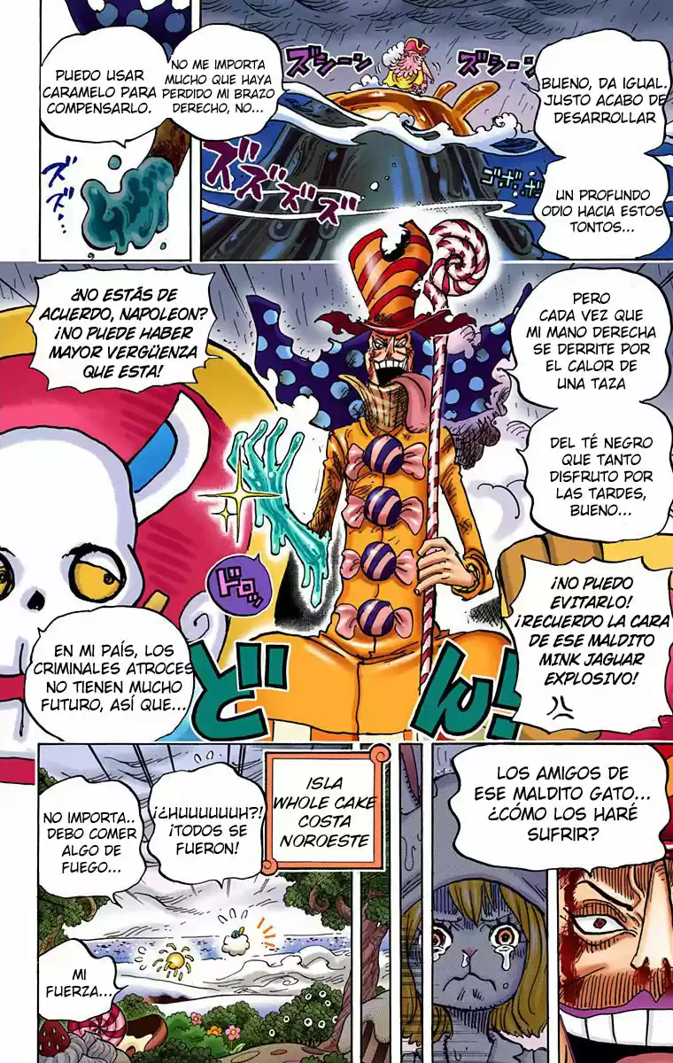 One Piece (full Color) capítulo 879 página 8