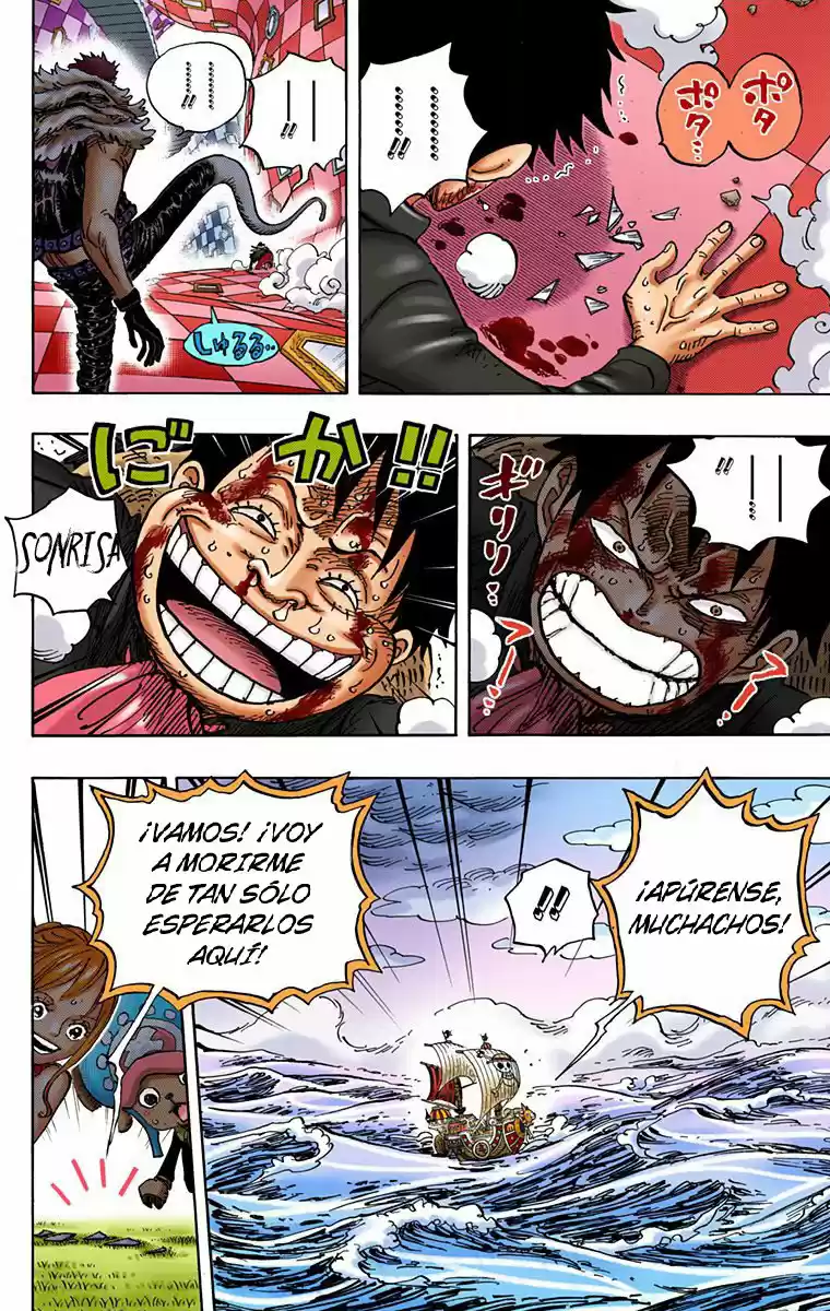 One Piece (full Color) - Capítulo 881 - Página 15 - LectorTMOo