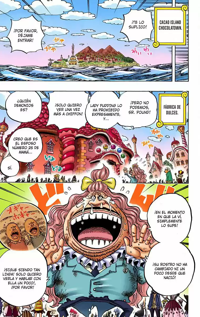 One Piece (full Color) - Capítulo 884 - Página 11 - LectorTMOo