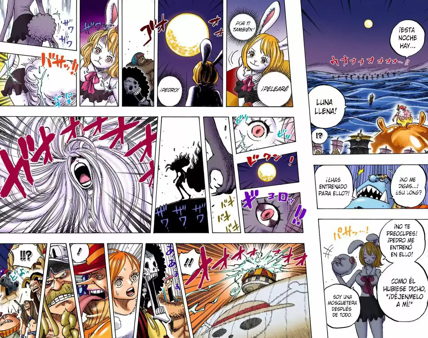 One Piece (full Color) - Capítulo 888 - Página 9 - LectorTMOo